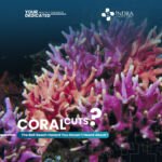 Coral Cuts: The Bali Beach Hazard You Haven’t Heard About